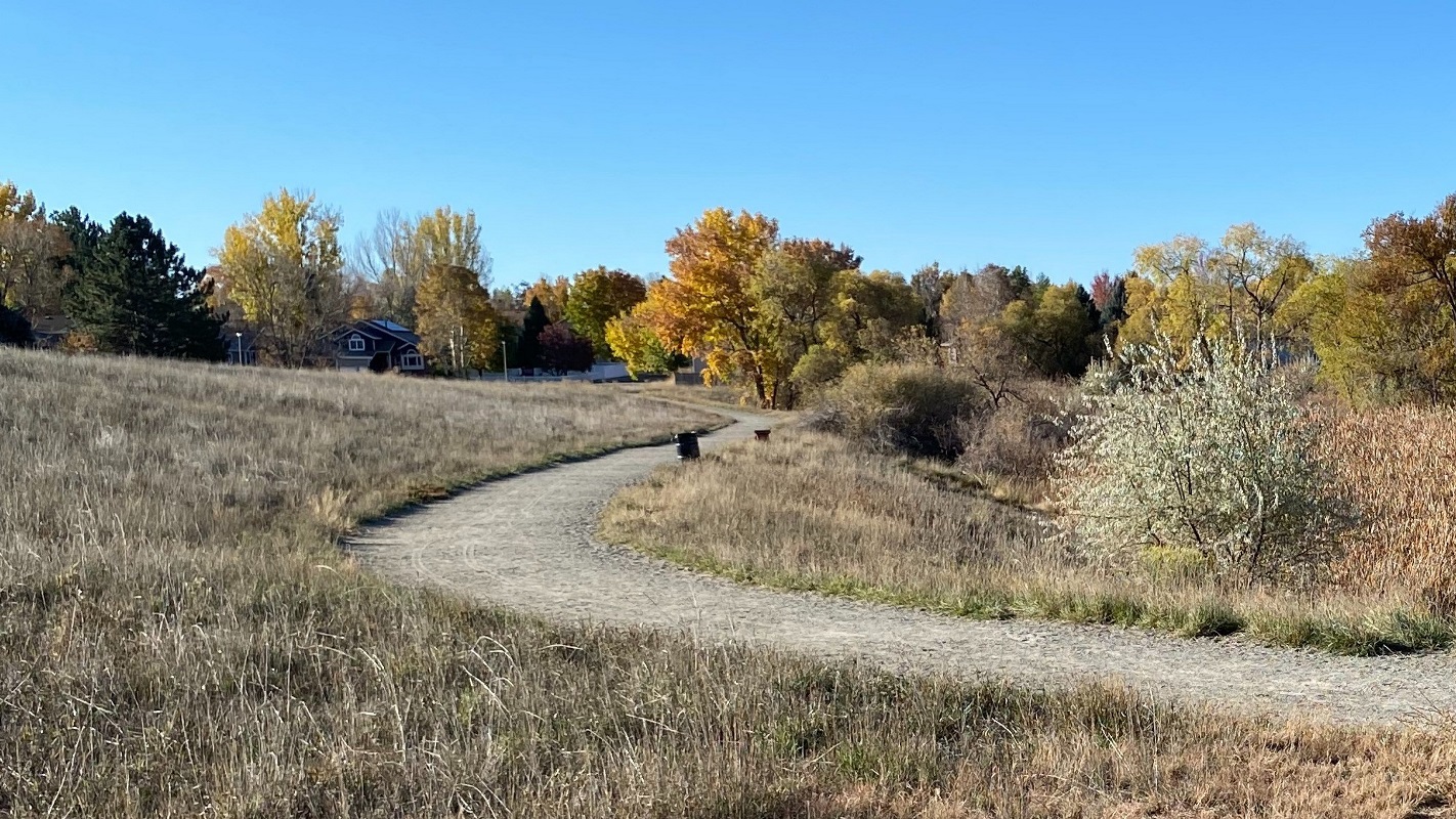 A curved dirt trail with tall brown grass and gold trees on the sides