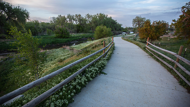 A stretch of the Poudre River Trail in Greeley