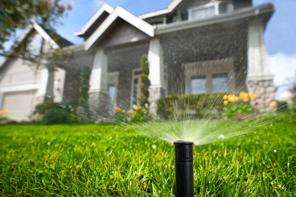 House and Sprinkler