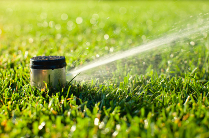 Lawn Sprinkler Watering Green Grass